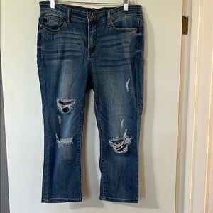 Indigo Blue Distressed Cropped Jeans